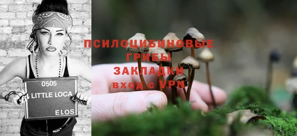 гидра Бугульма