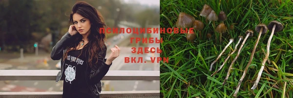 а пвп мука Бородино
